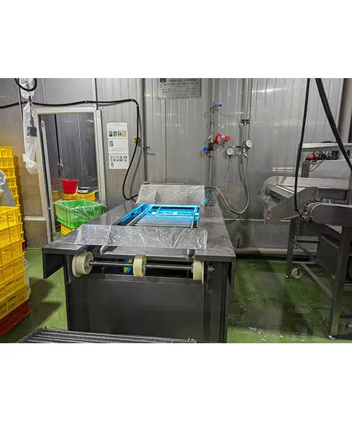 Jia Nan Food Conveyor Belt Sterilization